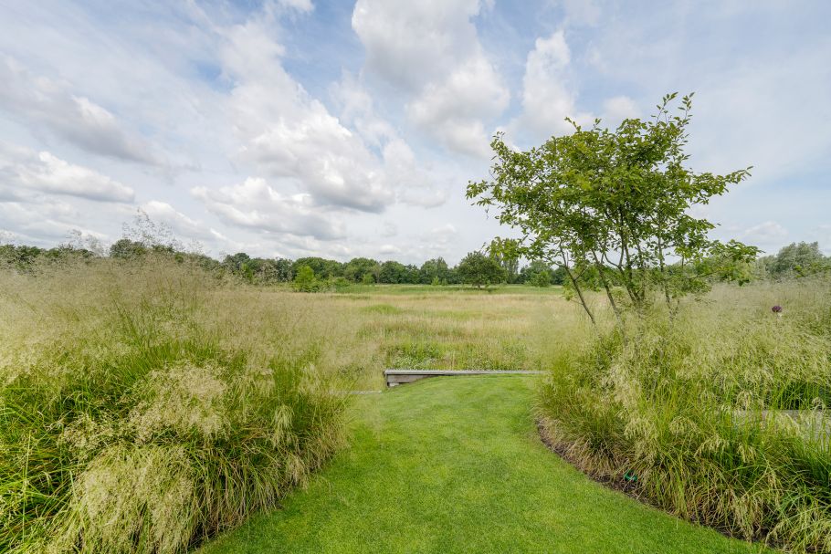 Uitzicht op de natuur