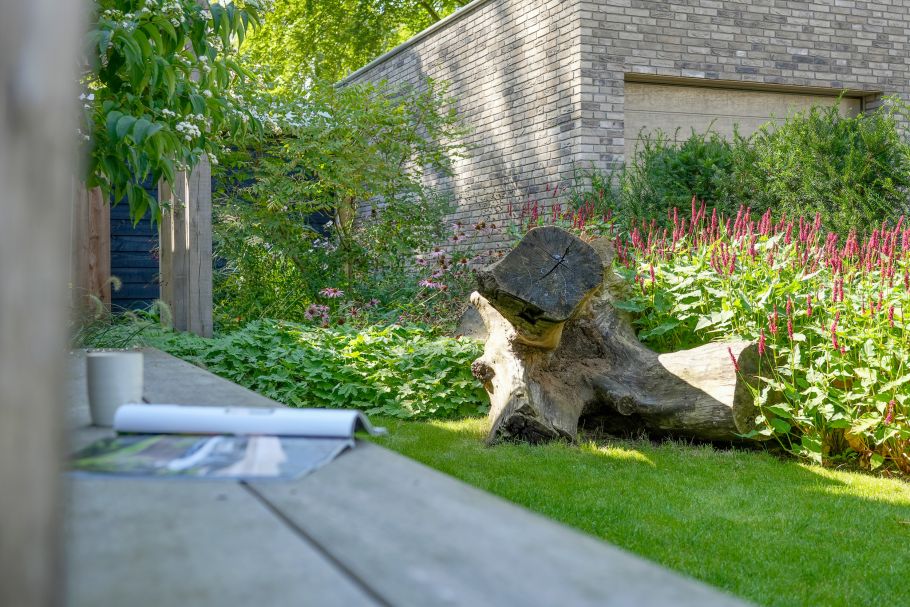 Boomstronk in groenrijk tuin